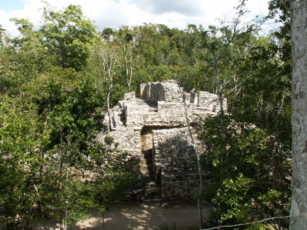 UNADJUSTEDNONRAW_thumb_487d