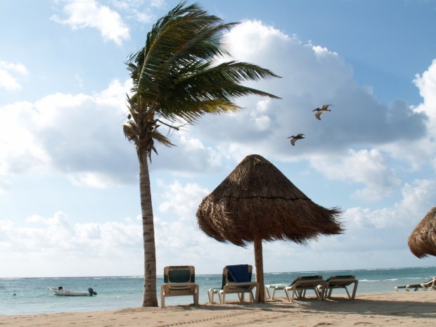 UNADJUSTEDNONRAW_thumb_4899