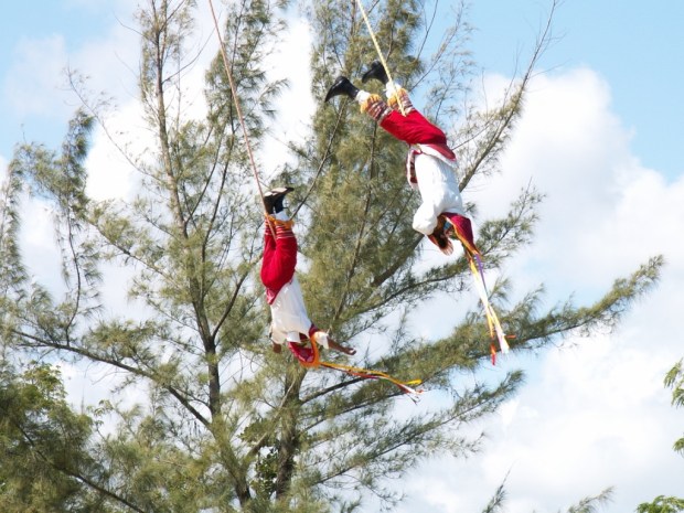 UNADJUSTEDNONRAW_thumb_4909