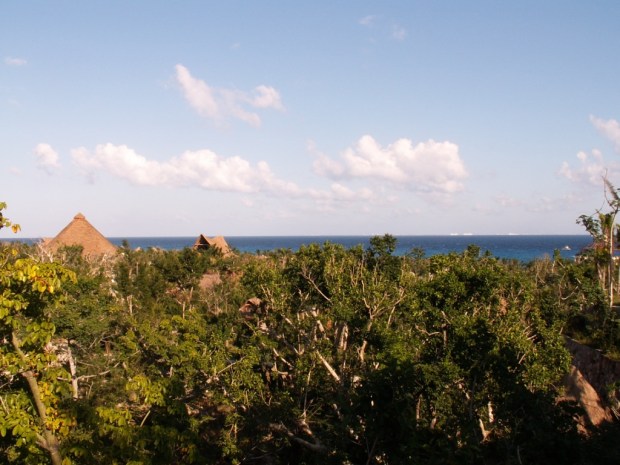 UNADJUSTEDNONRAW_thumb_494e