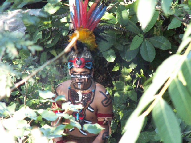 UNADJUSTEDNONRAW_thumb_4951