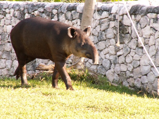 UNADJUSTEDNONRAW_thumb_4958