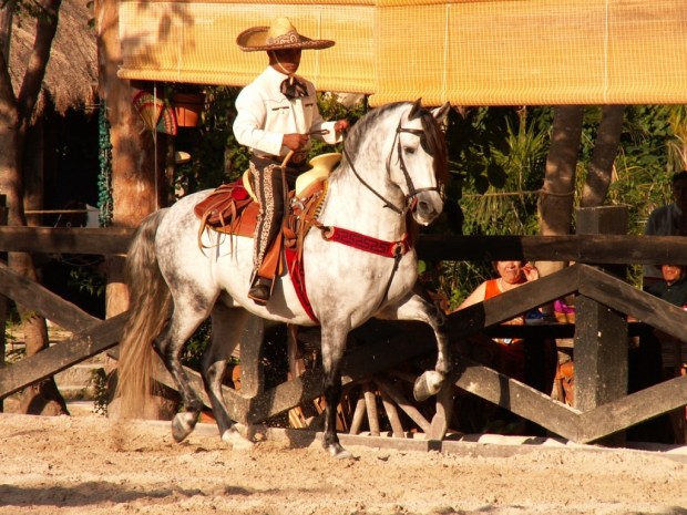 UNADJUSTEDNONRAW_thumb_495b