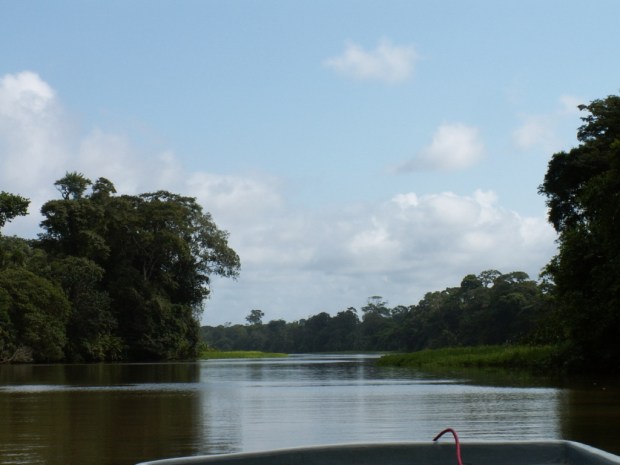 UNADJUSTEDNONRAW_thumb_4aa2