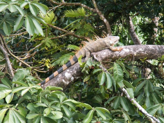 UNADJUSTEDNONRAW_thumb_4b0b