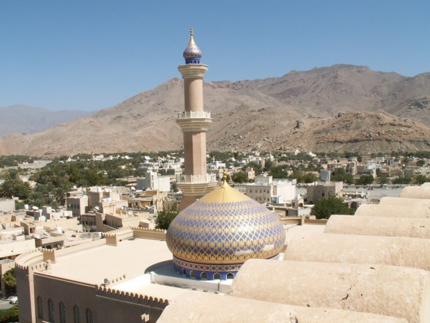 UNADJUSTEDNONRAW_thumb_4d01