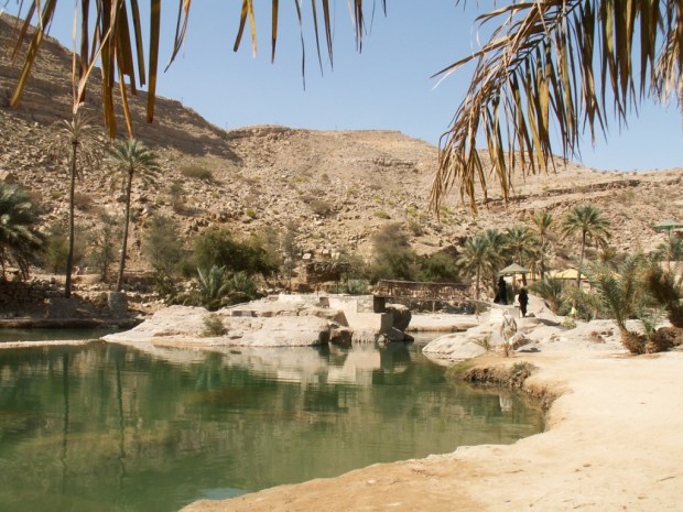 UNADJUSTEDNONRAW_thumb_4d45