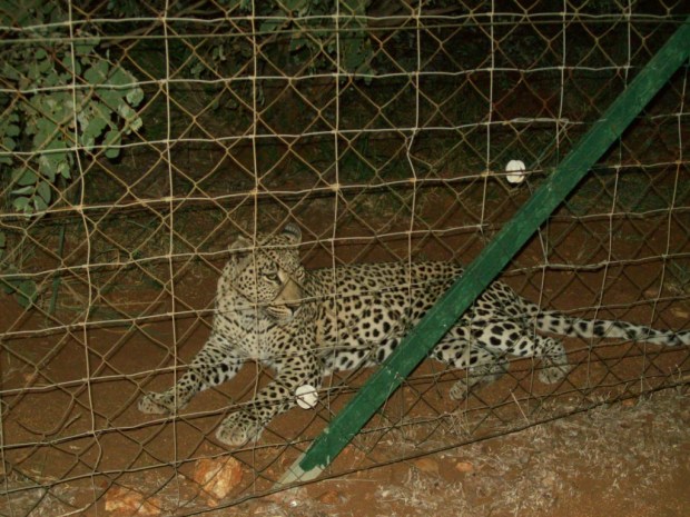 UNADJUSTEDNONRAW_thumb_55b1