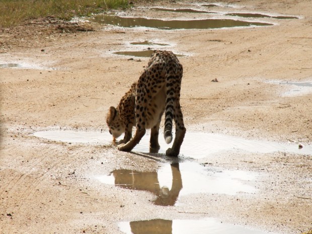 UNADJUSTEDNONRAW_thumb_55dd