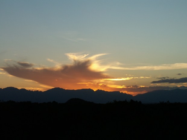 UNADJUSTEDNONRAW_thumb_5631