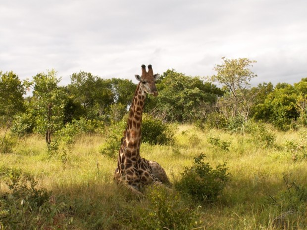 UNADJUSTEDNONRAW_thumb_58e7