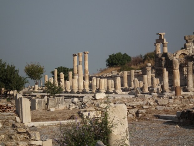 UNADJUSTEDNONRAW_thumb_3898