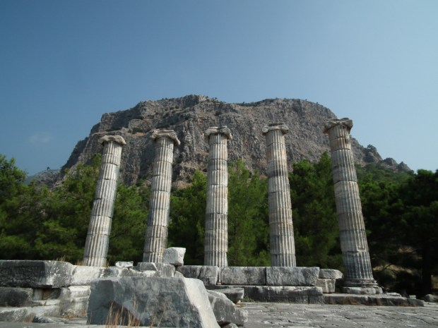 UNADJUSTEDNONRAW_thumb_3920