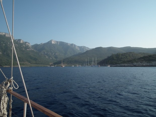 UNADJUSTEDNONRAW_thumb_3c50