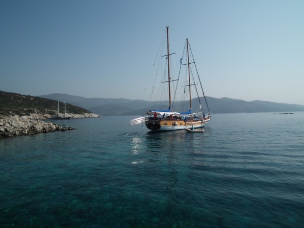 UNADJUSTEDNONRAW_thumb_3c70