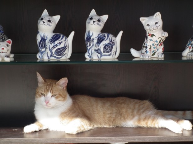 UNADJUSTEDNONRAW_thumb_3f0e