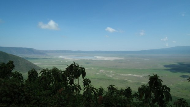 5520260501_75dff6a72d_b