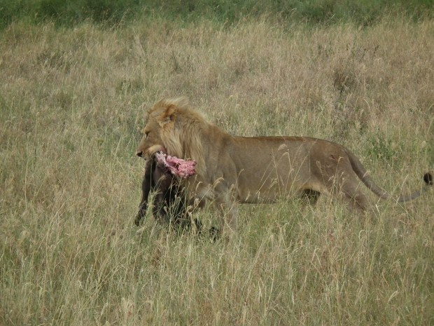 5520484575_b6813d173d_b