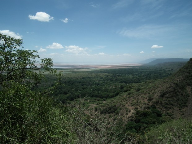 5520850558_402088df97_b1