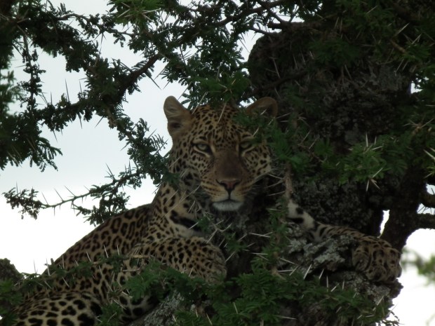 5521070944_ef56327889_b