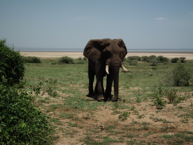 5521121010_bba0a09d19_b