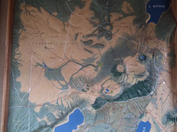 UNADJUSTEDNONRAW_thumb_4052