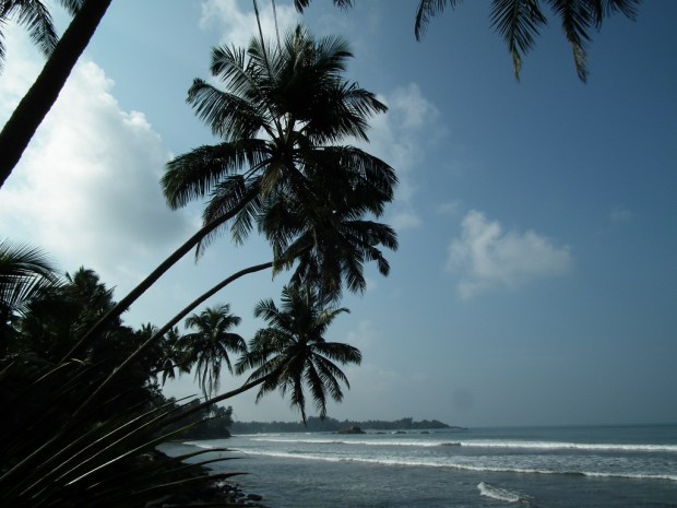 8539546718_3c14cca696_b