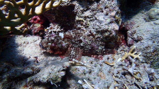 10653923683_832ca2aa90_b