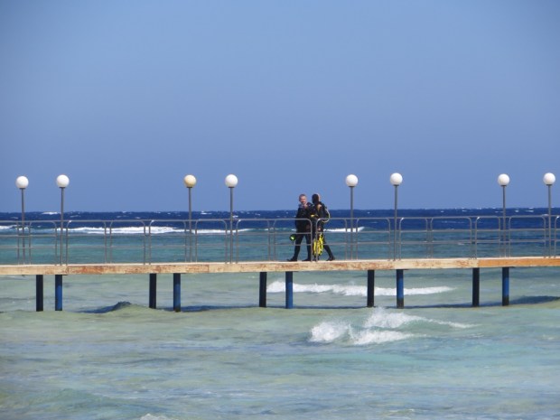 UNADJUSTEDNONRAW_thumb_26c6