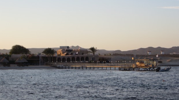 UNADJUSTEDNONRAW_thumb_2808