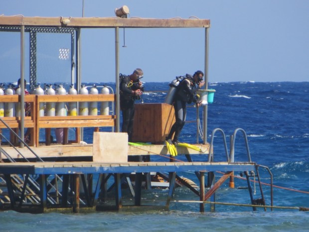 UNADJUSTEDNONRAW_thumb_295d