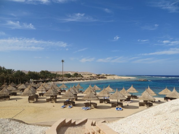 UNADJUSTEDNONRAW_thumb_2963