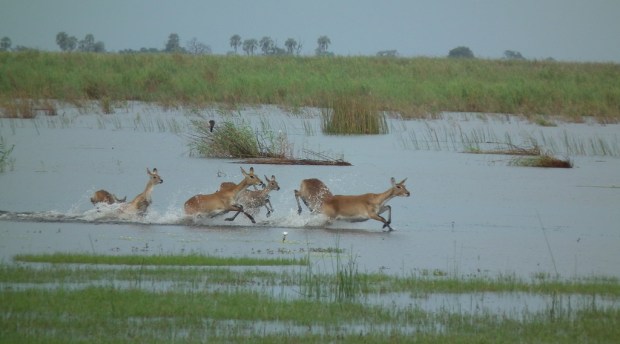 13123557994_a9e0dceced_b