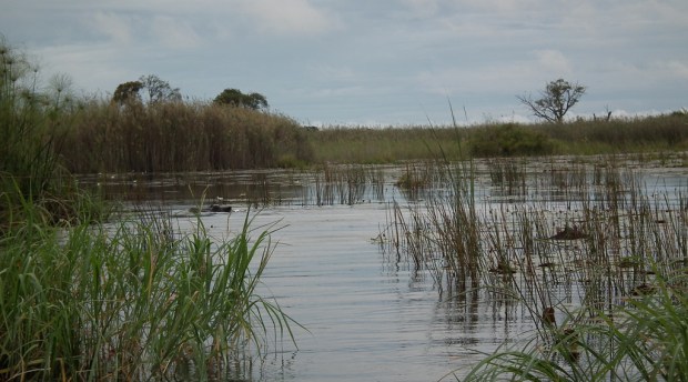 13141918763_e2d245085e_b