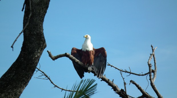 13141998354_6004c1f583_b