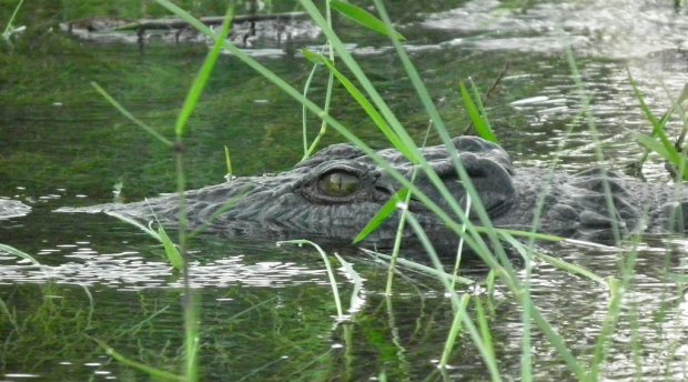 13142013574_6ab7d0fc8d_b