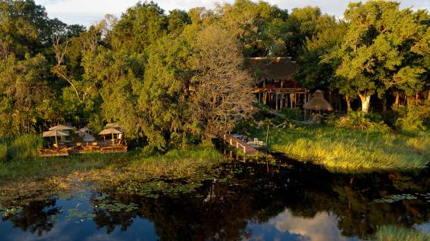 large_focal_0601-jao-camp