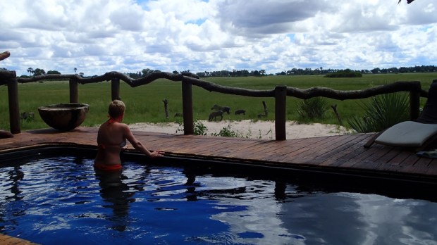 UNADJUSTEDNONRAW_thumb_202b