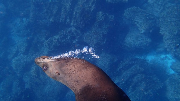 16620760036_d01fae107f_c