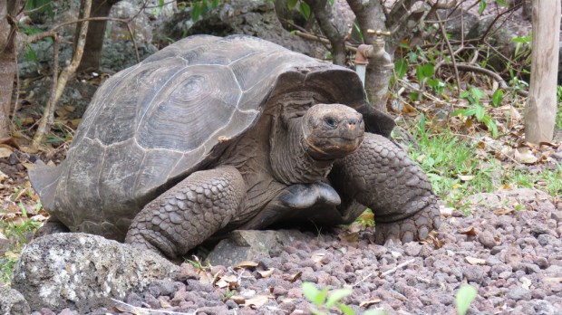 16661728221_bfba0dce7c_b