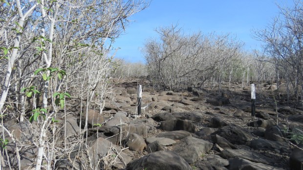 16664127282_55dc4cce85_b