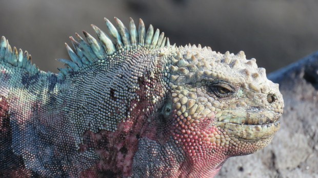 16665152995_e04cd21692_b