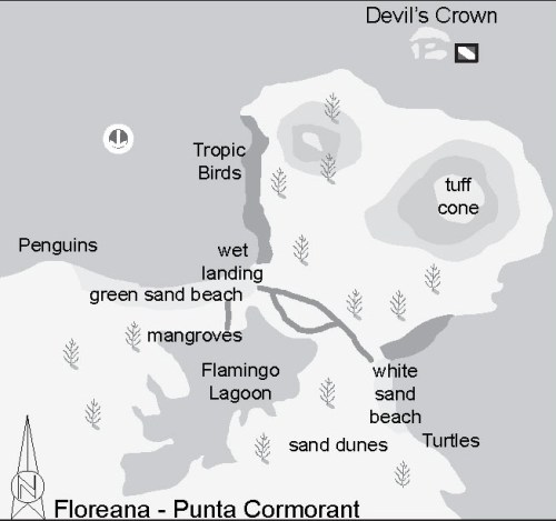 Floreana - Punta Cormorant - Devil's Crown