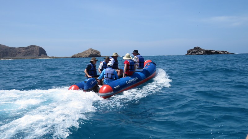 Galapagos - Février 2015 (1007)