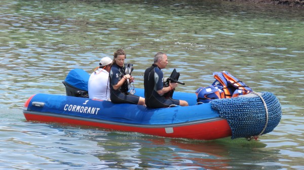 Galapagos - Février 2015 (1702)