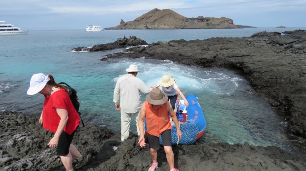 Galapagos - Février 2015 (203)