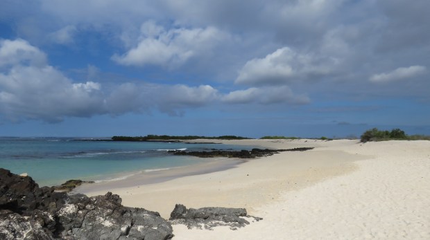 Galapagos - Février 2015 - Las Bachas (9)