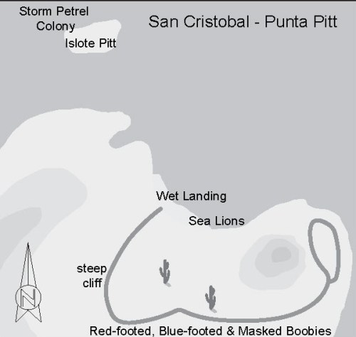 San Cristobal - Punta Pitt