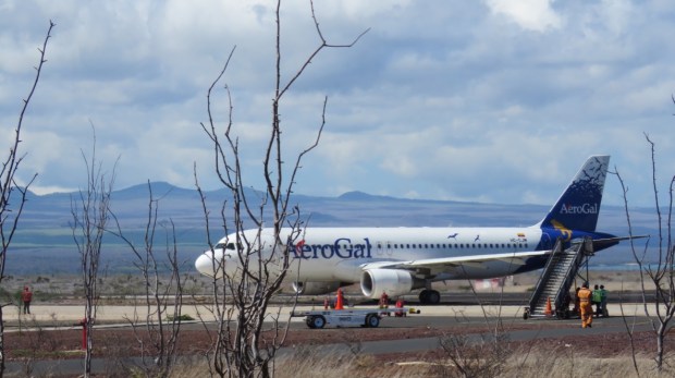 UNADJUSTEDNONRAW_thumb_f46