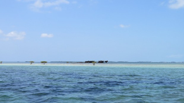 25051782501_2c02212c5c_c